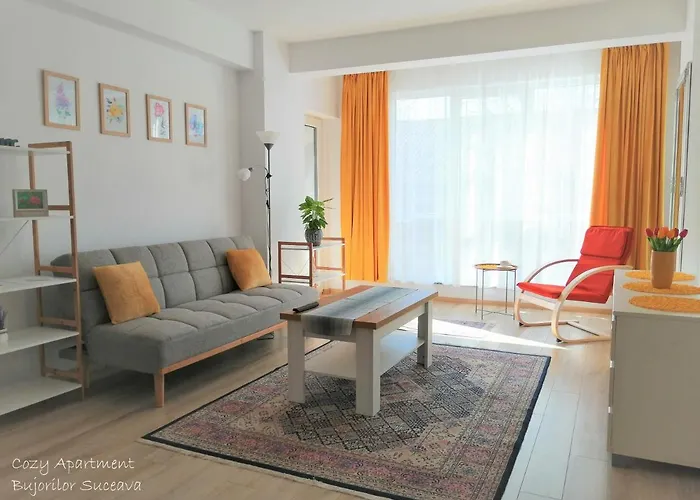 Cozy Apartment Bujorilor Suceava