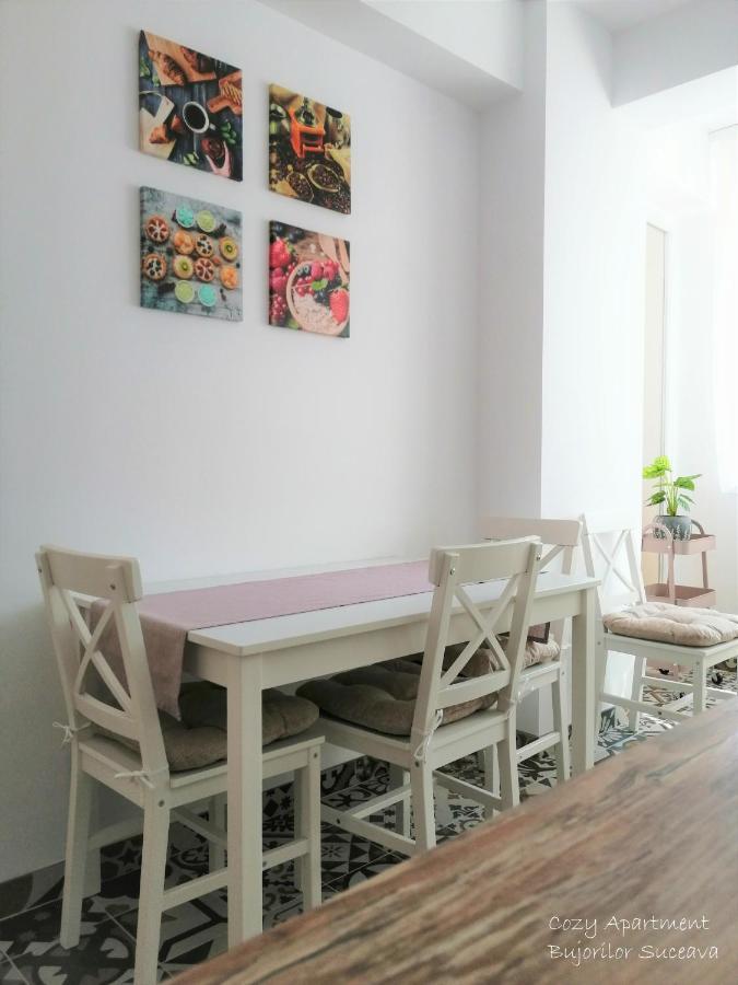 Cozy Bujorilor * Suceava
