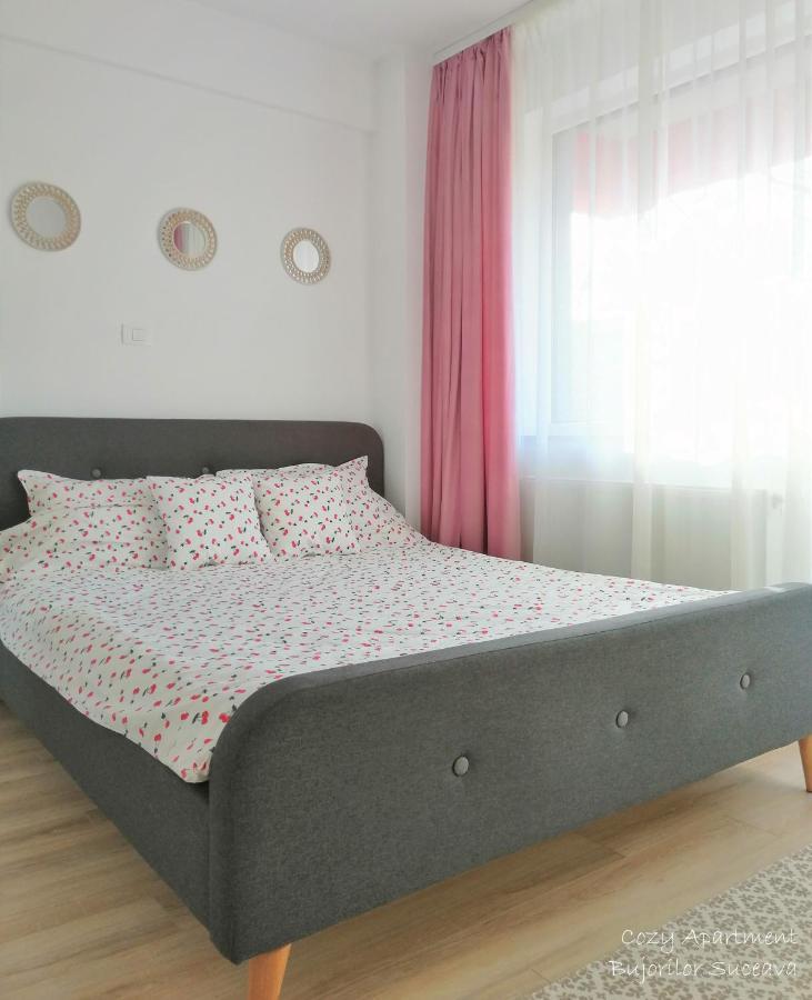 Cozy Bujorilor Apartment Suceava