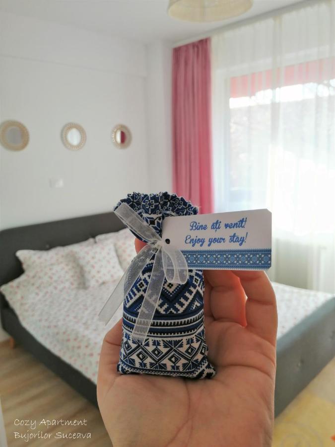 Appartamento Cozy Bujorilor Suceava